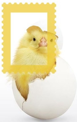 Disello