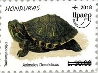 Honduras