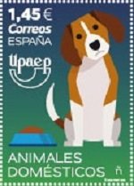 Animales Domesticos