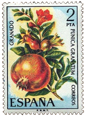 Punica Granatum