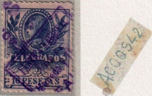 Variedad B