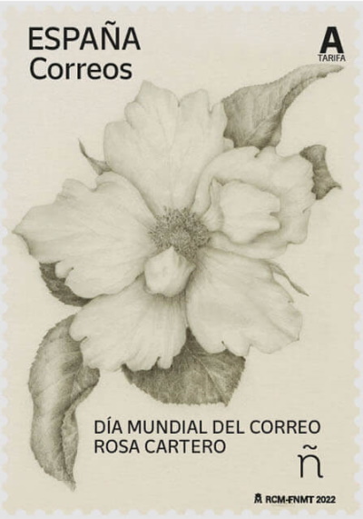 Día Mundial del Correo. Rosa Cartero