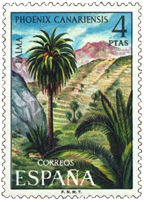 Erupción del Volcán Teneguía 