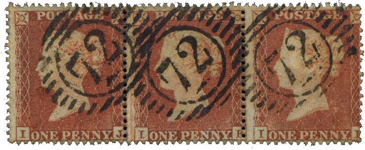 Penique negro dentado