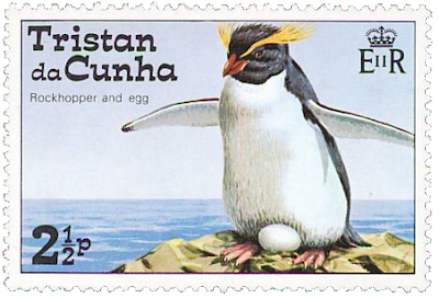 pingüino y huevo pingüino rockllopper