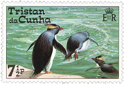 pingüinos en el agua pingüino rockllopper