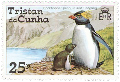 pingüino y cría pingüino rockllopper