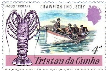 Langosta de Tristán (Jasus tristani), barco pesquero langosta de Tristan da Cunha